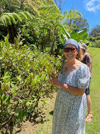 organic-mamaki-tea-farm-hawaii